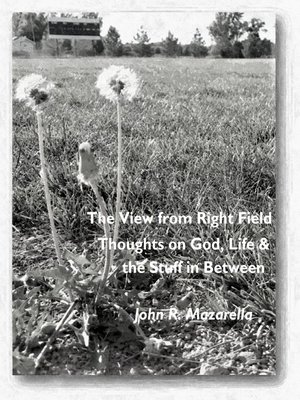 cover image of The View from Right Field--Thoughts on God, Life & the Stuff in Between